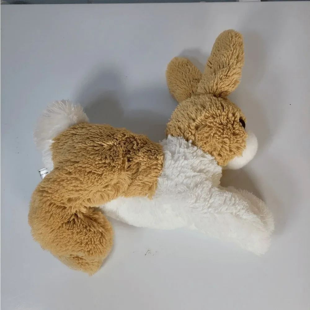 Aurora Miyoni tan dutch‎ Rabbit 12